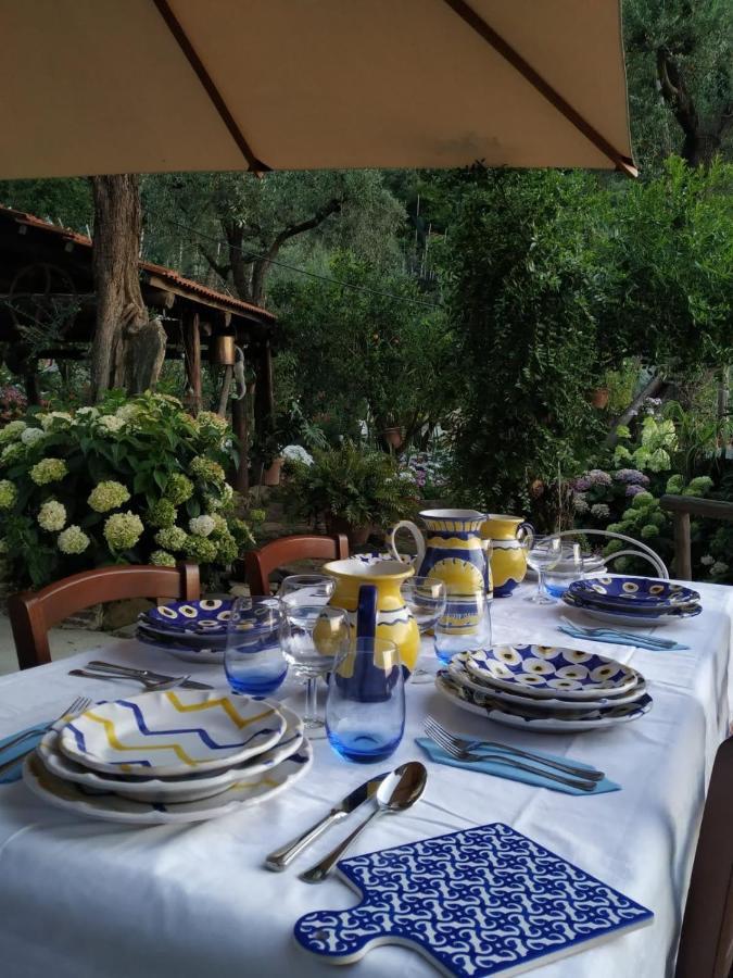 Da Rosali Bed & Breakfast Соренто Екстериор снимка
